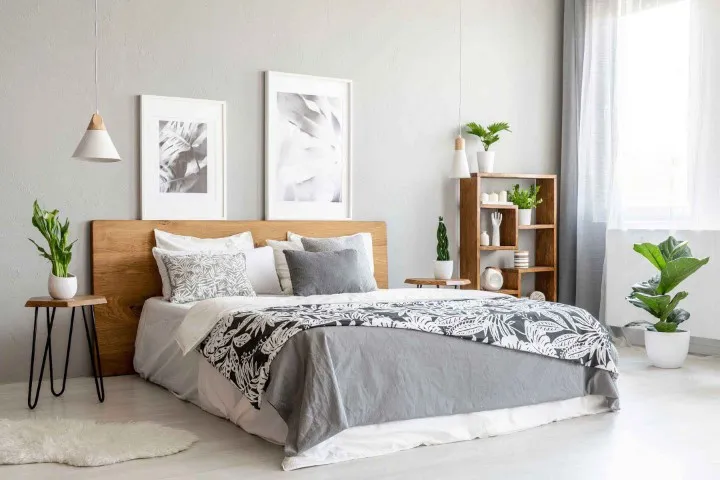 Double room to rent in a London flatshare